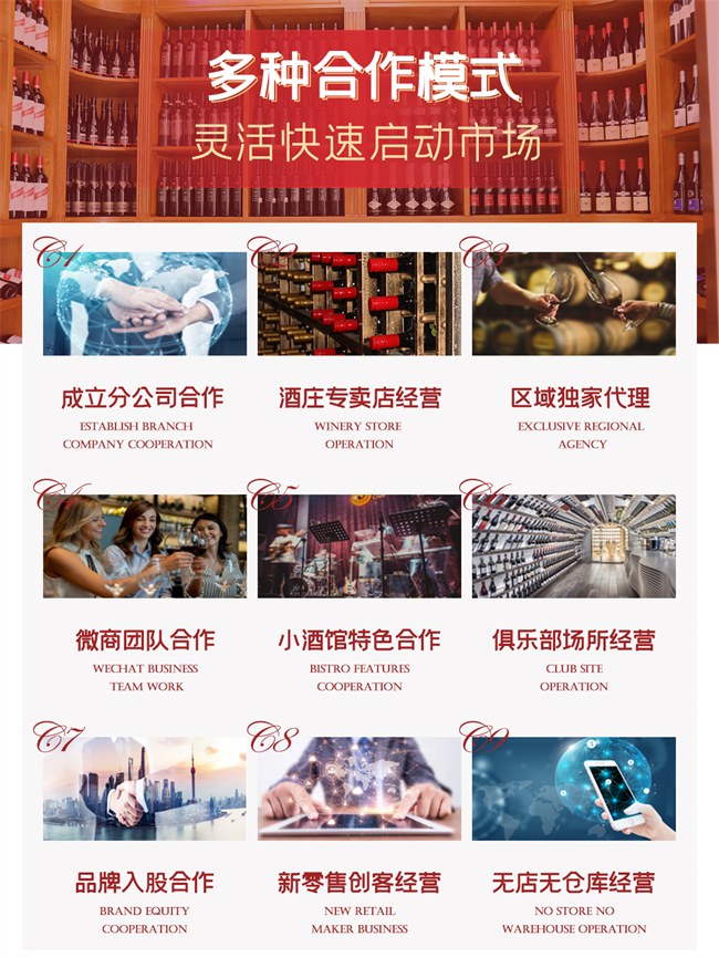 多种合作模式.jpg