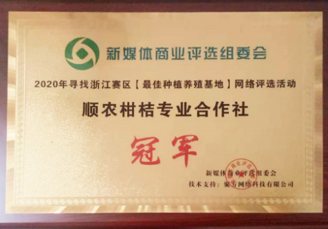 图片7