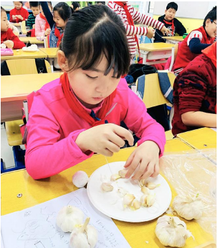 中小学劳动课让孩子“懂饮食”“会生活”