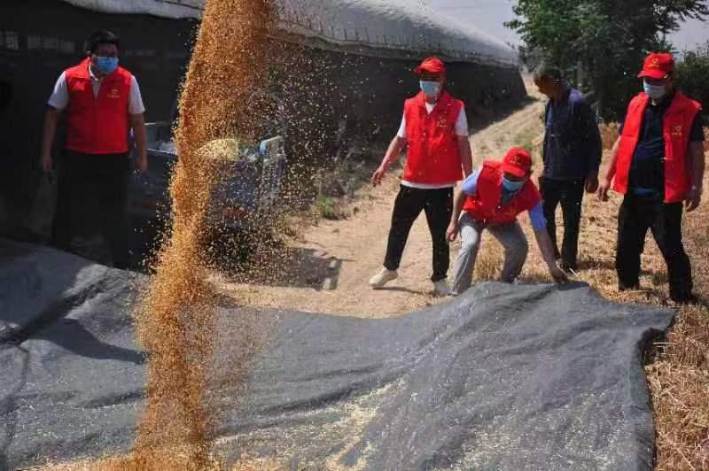 微信图片_20220606120028