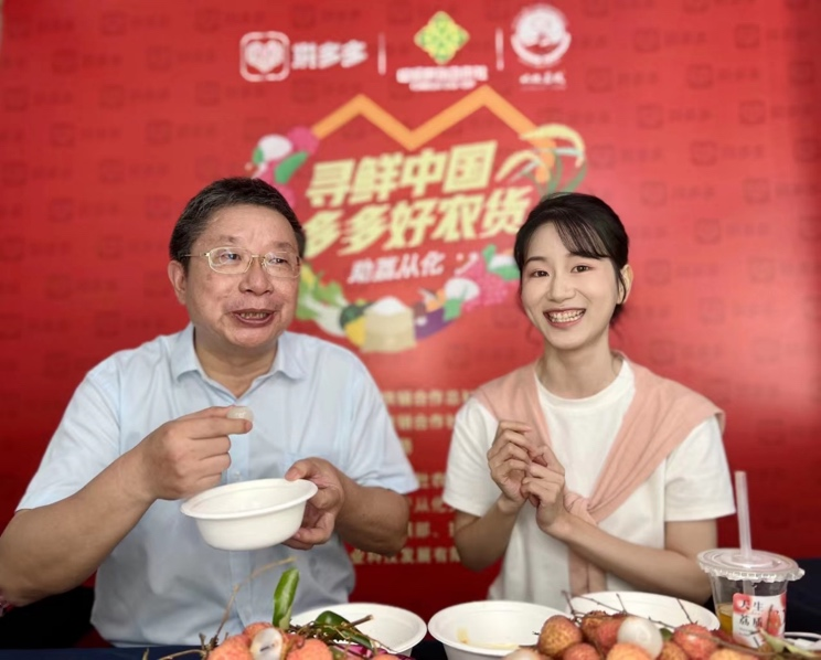 图片1