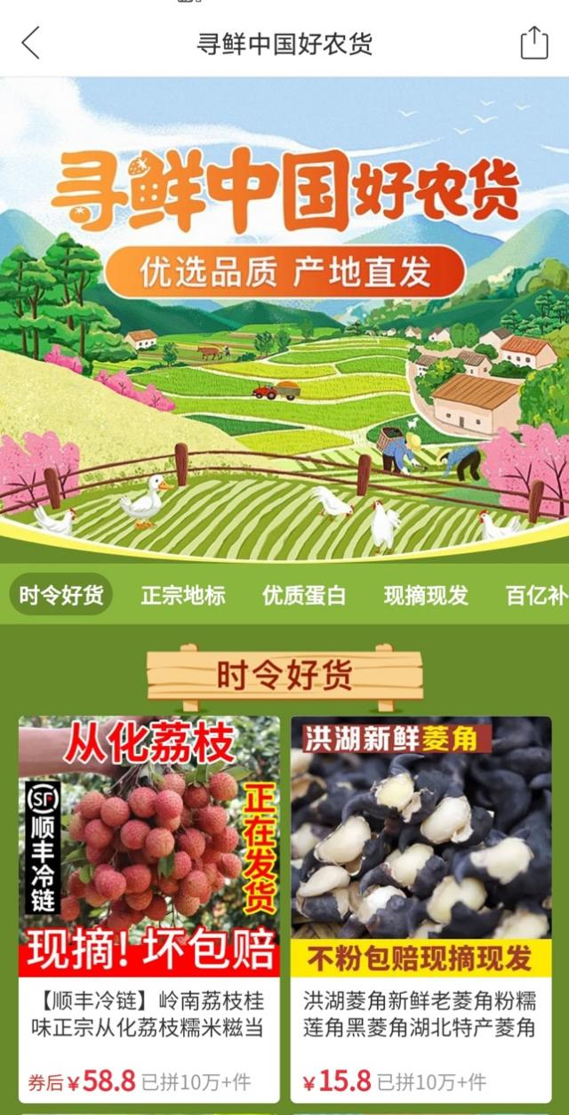 图片4