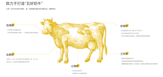 认养一头牛：能喝上认养奶牛的牛奶吗？想多了