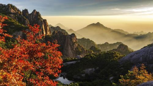 秋分：凝结着中国人尊重自然、热爱生命的态度