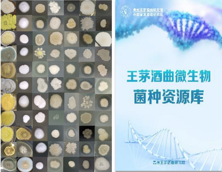 QQ图片20220930153920