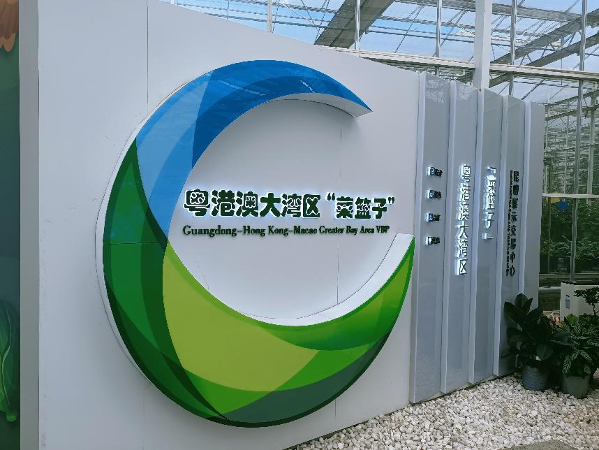图片2