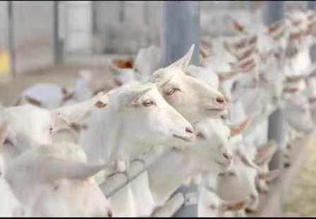 微信图片_20221118154922