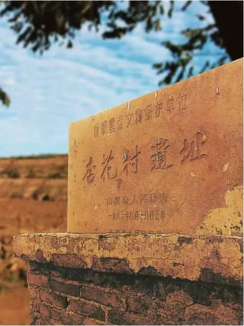 图片7
