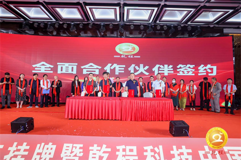 图片7