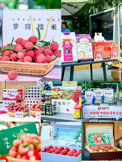http://img.toumeiw.cn/upload/images/20230707/7722dfab36019a018f384844b4b5e4b2.jpg