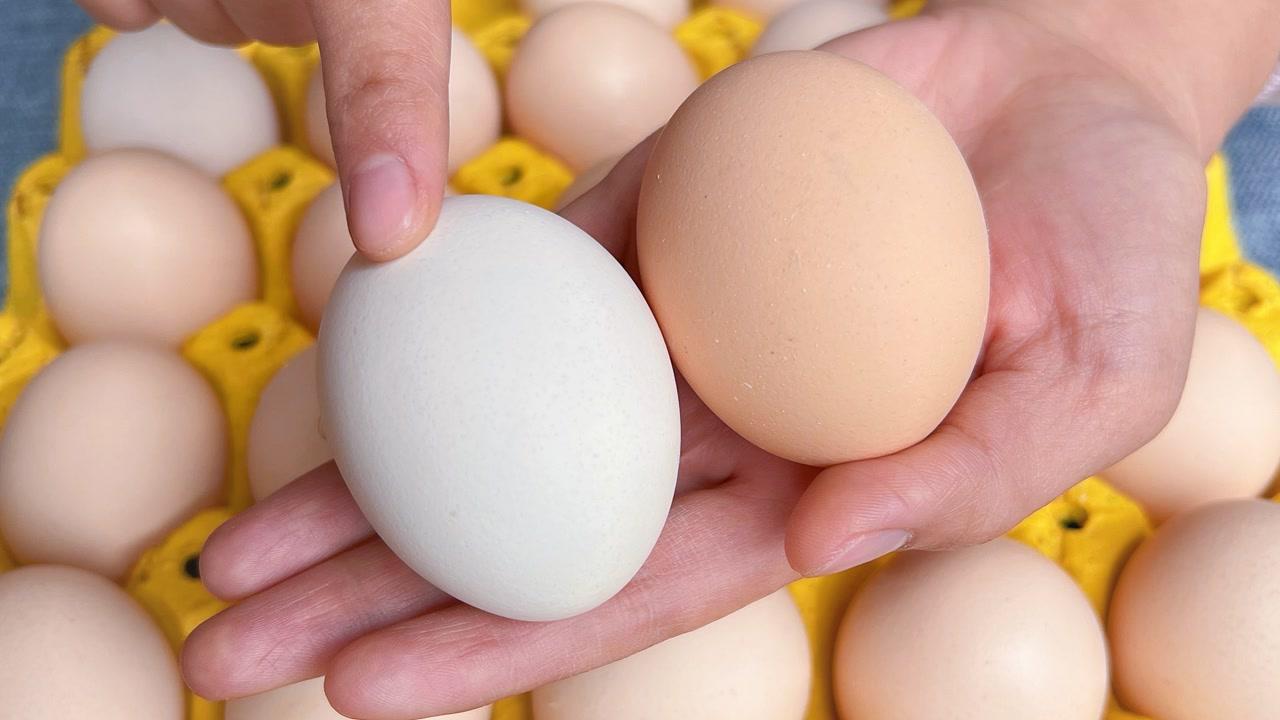 红壳鸡蛋比普通鸡蛋更有营养？