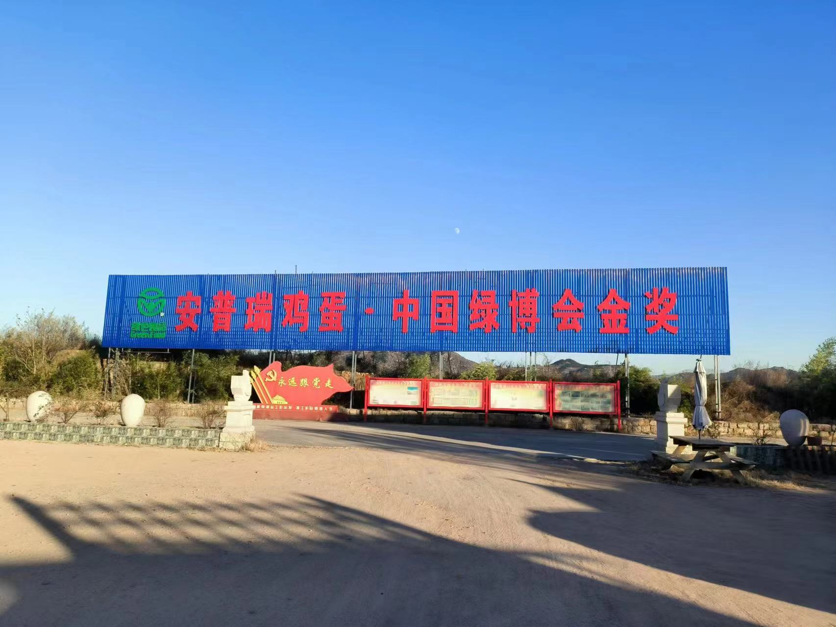 图片1
