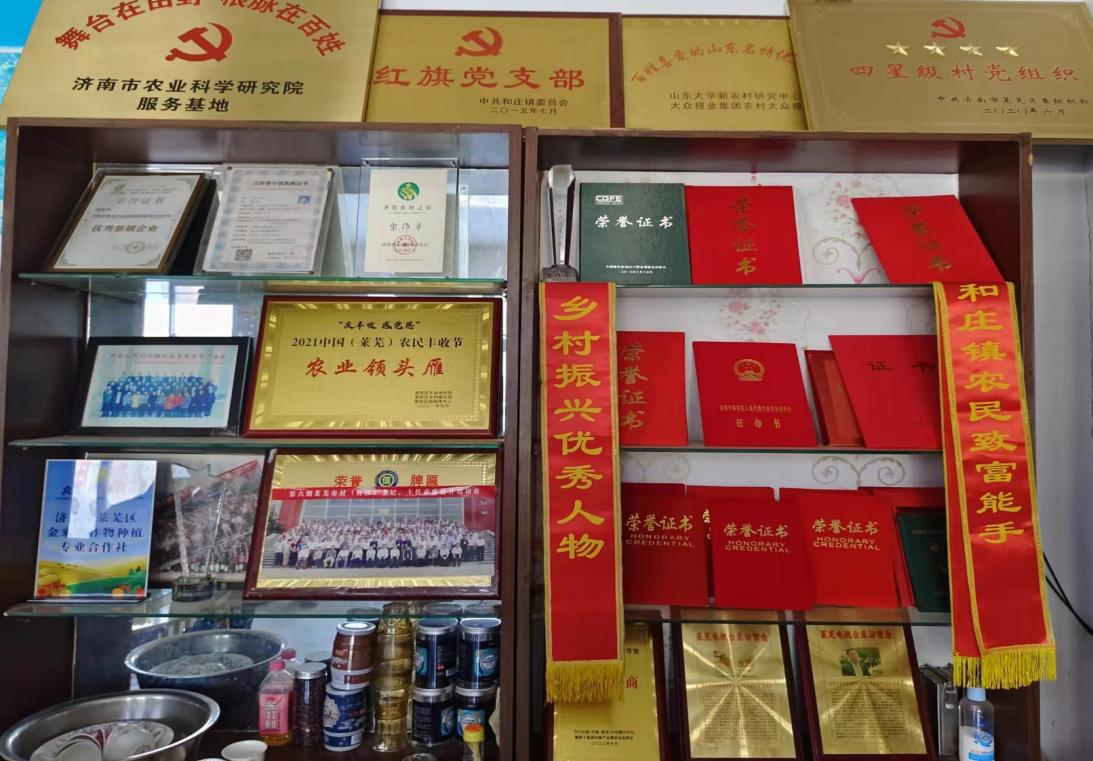 图片4