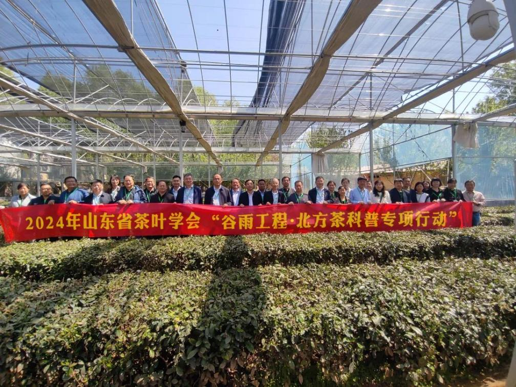 图片6