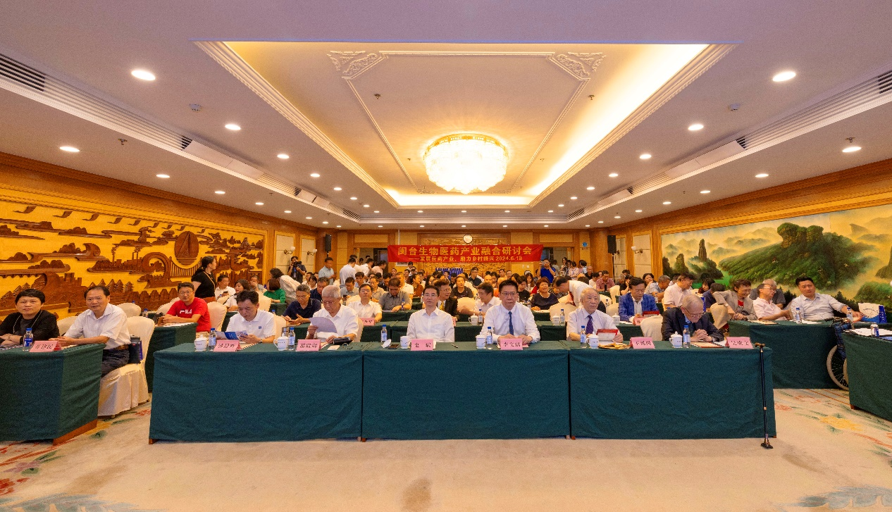 图片7