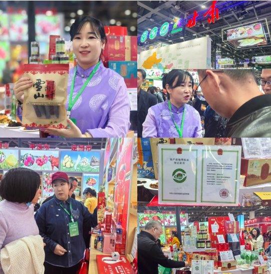 QQ20241211-111934.png