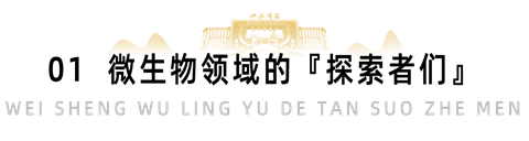 11.png