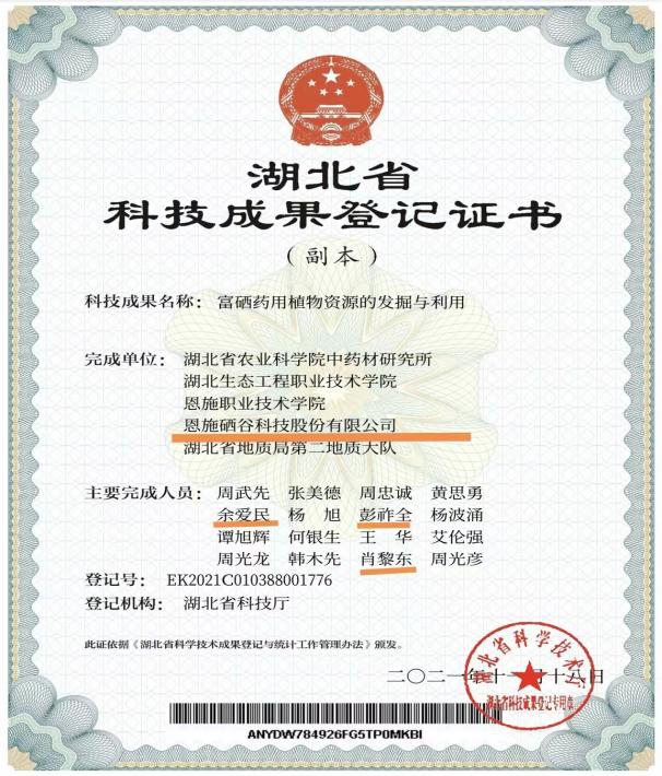 图片4