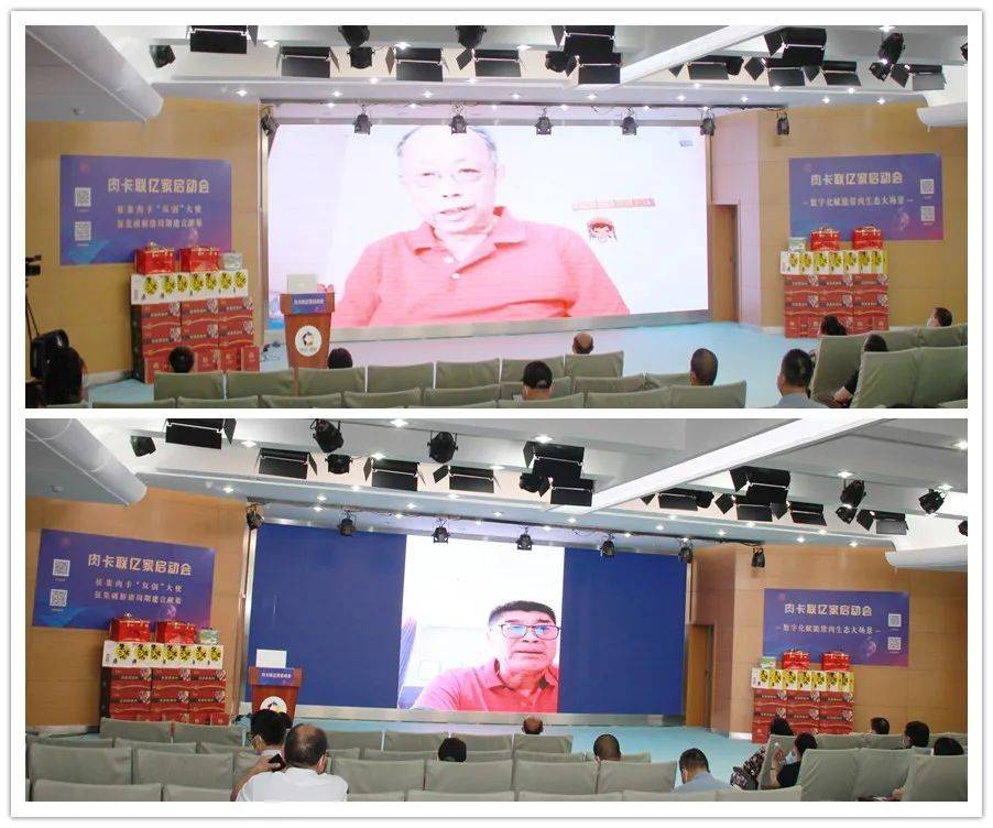 图片8