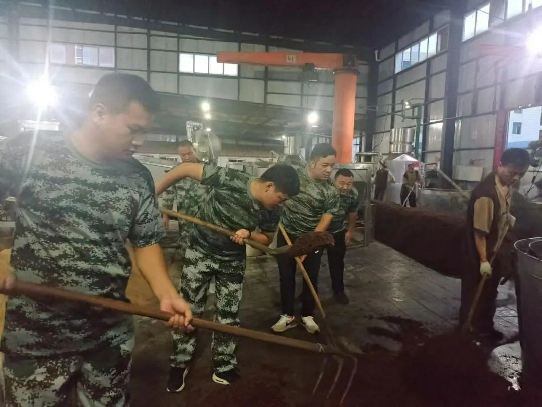 图片8