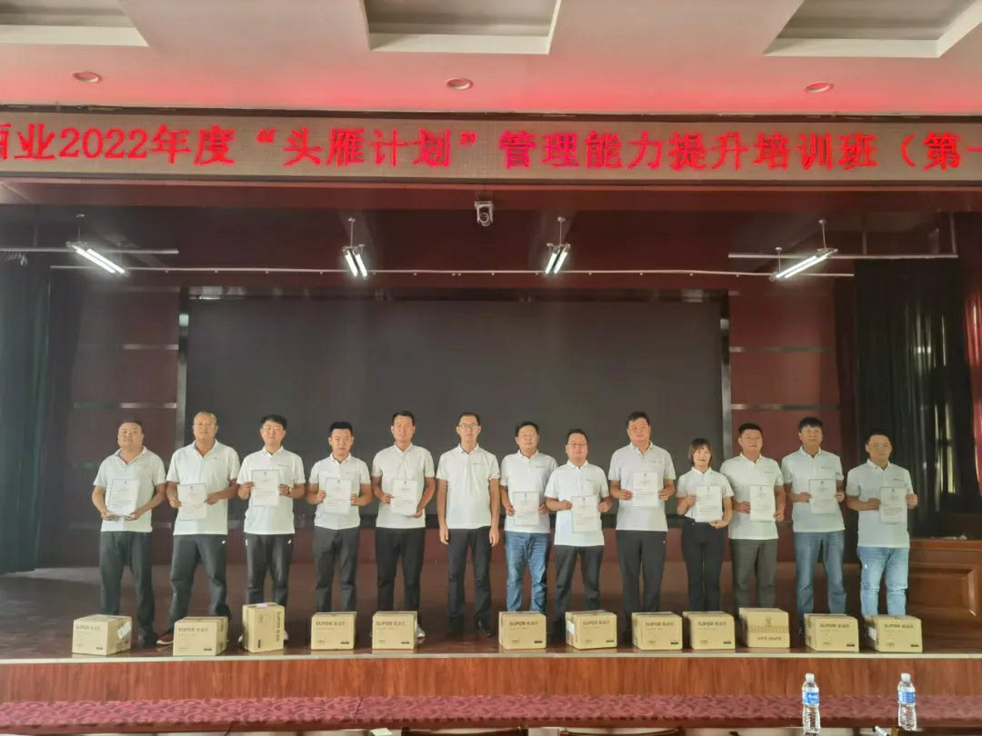 图片10