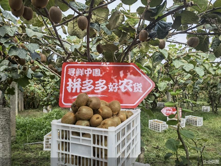 企业供图