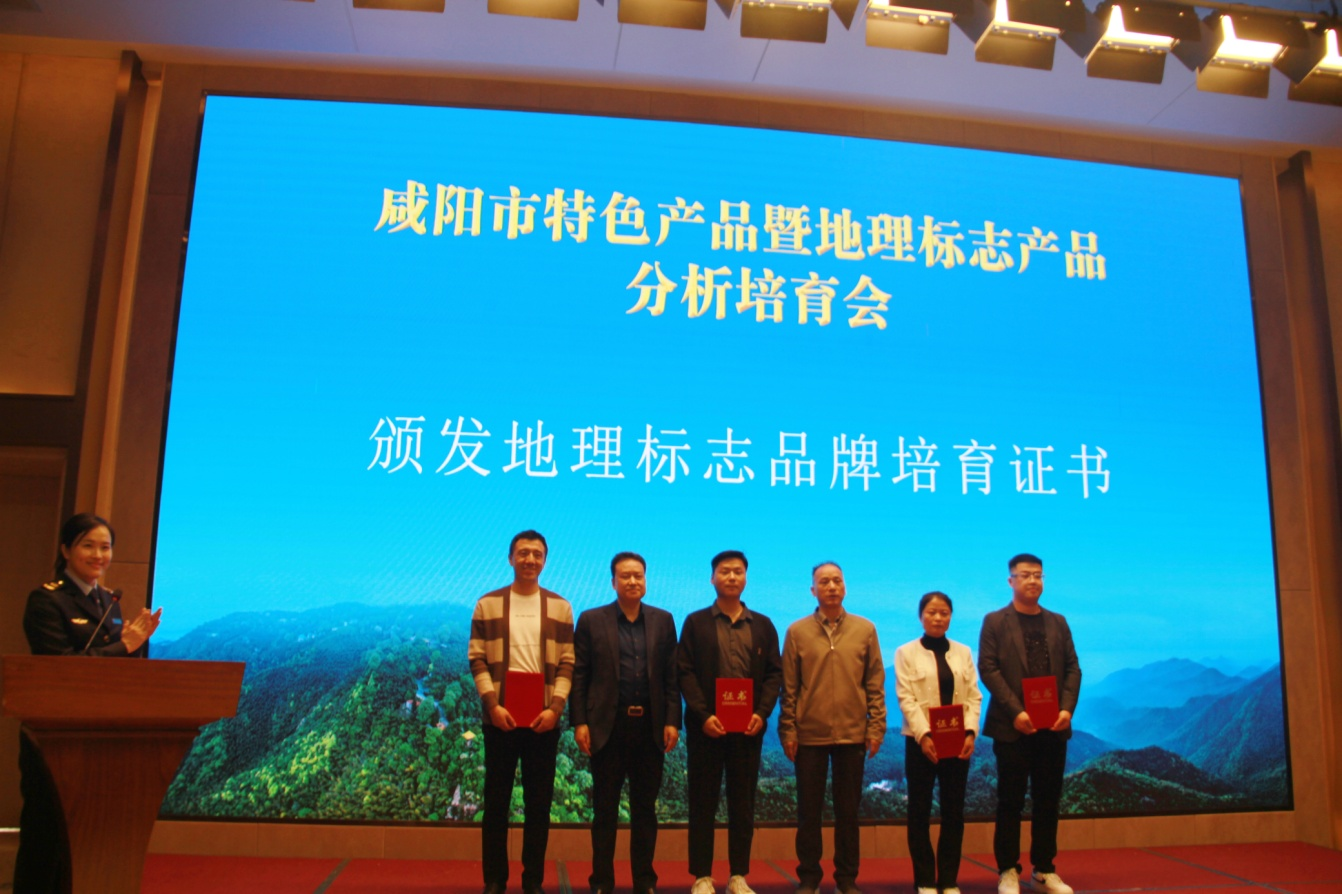图片9