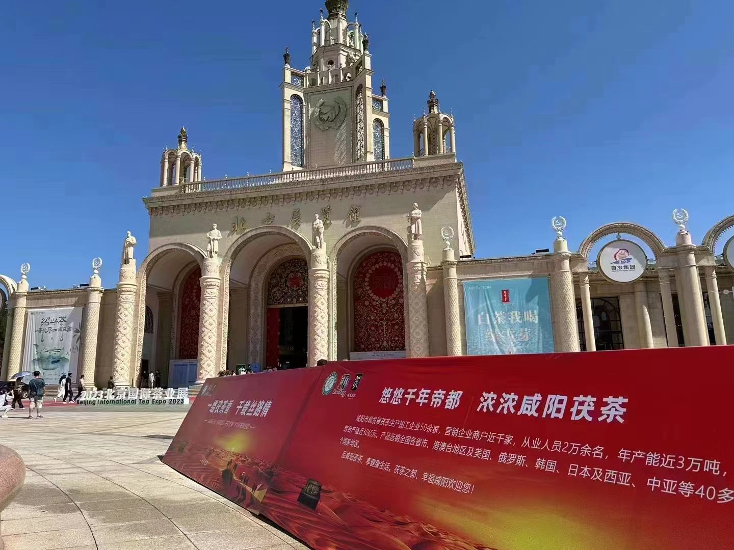 图片11