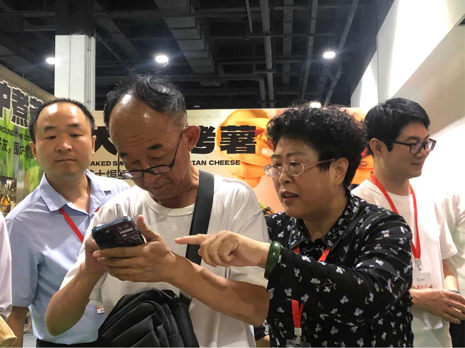 图片17