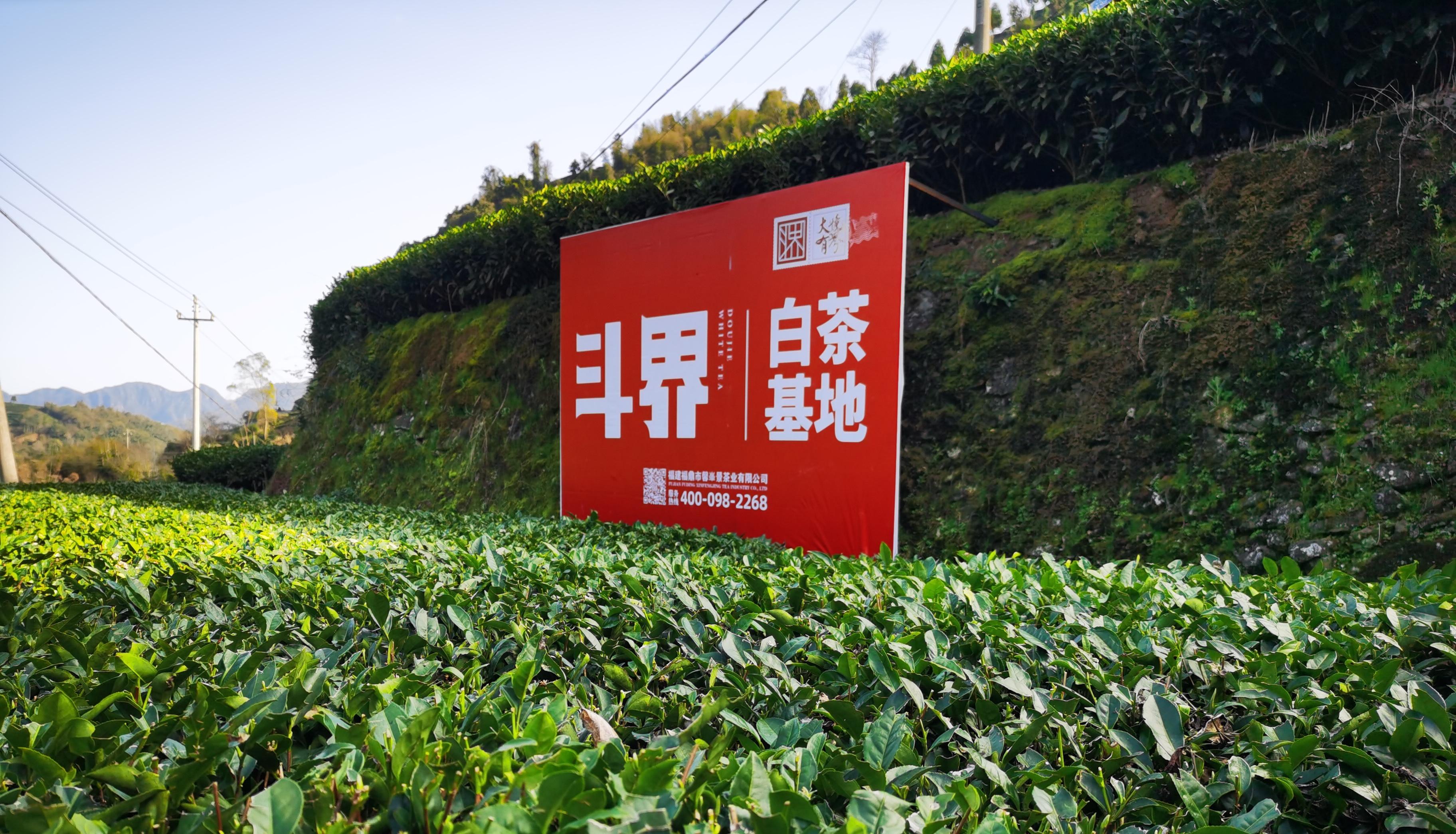 微信图片_20230815093336
