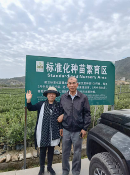 从大山走向世界——四川凉山月华源位橄榄油创建中国品牌纪实
