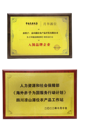 从大山走向世界——四川凉山月华源位橄榄油创建中国品牌纪实