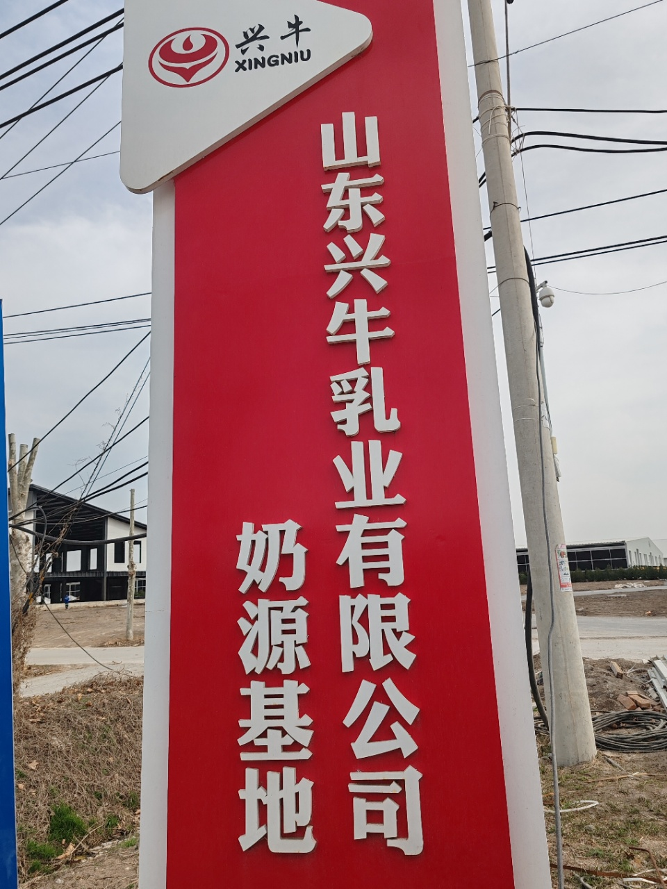 图片6