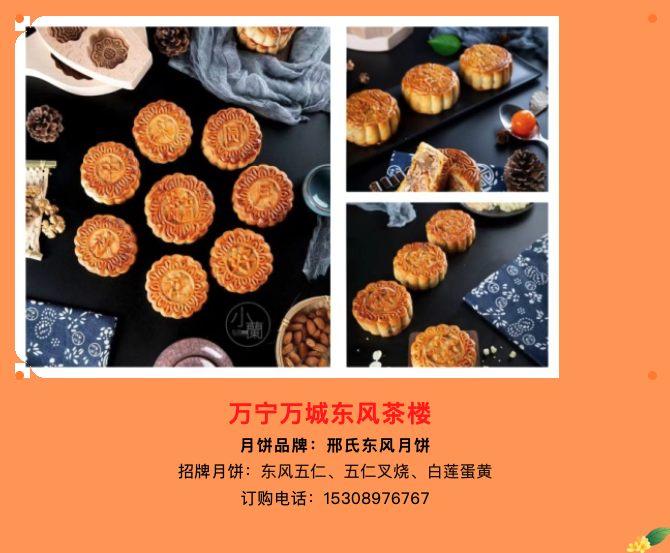 屏幕快照 2024-08-09 下午4.50.52