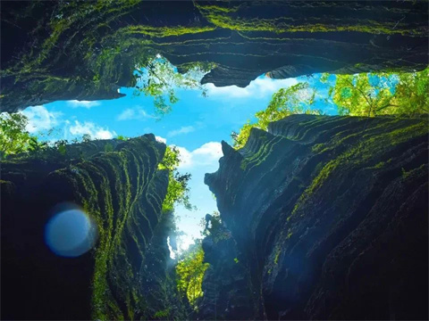 g.jpg